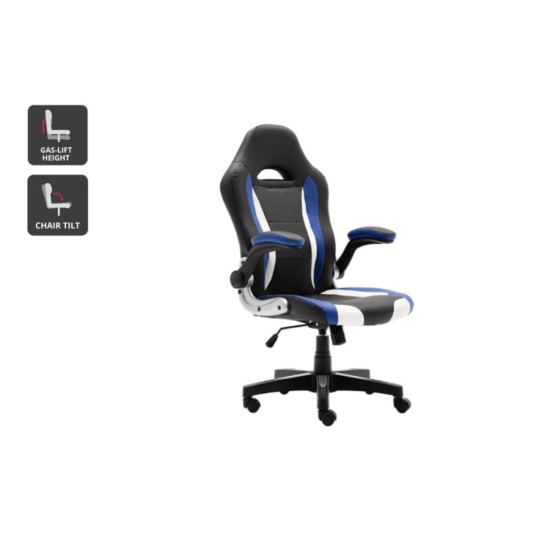 Phoenix Gaming Computer Working Task Office Chair