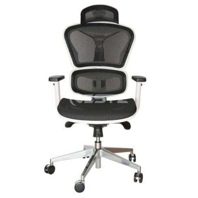 Ergohuman Replica Ergonomic Mesh Office Chair - White / Black