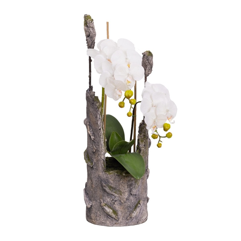 Phalaenopsis Orchid Artificial Plant Flower Arrangement 61cm In Cement - White