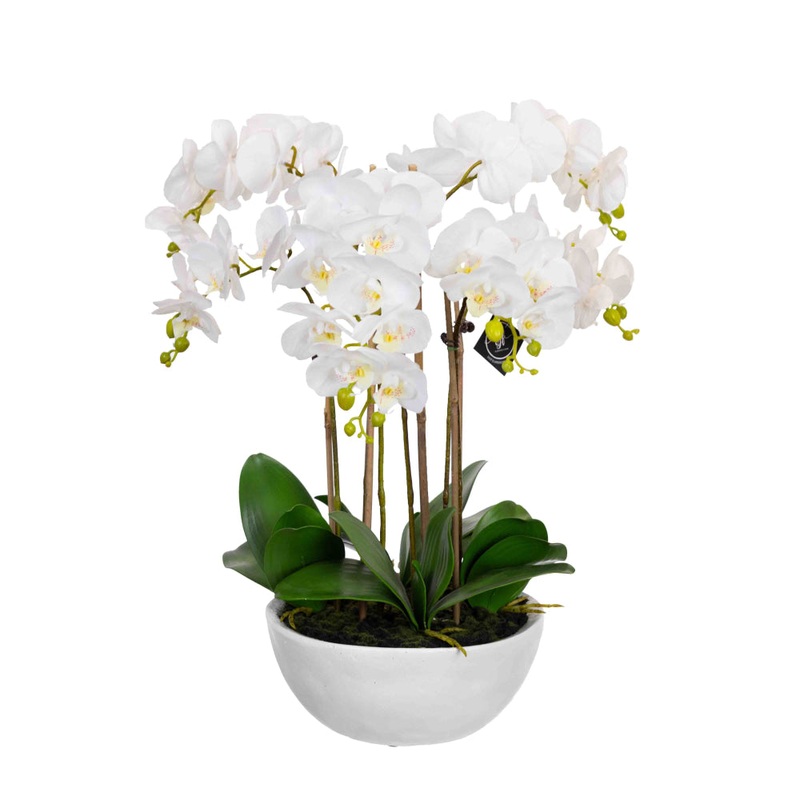 Phalaenopsis Orchid Artificial Plant Flower Decorative 55cm Ceramic Pot - White