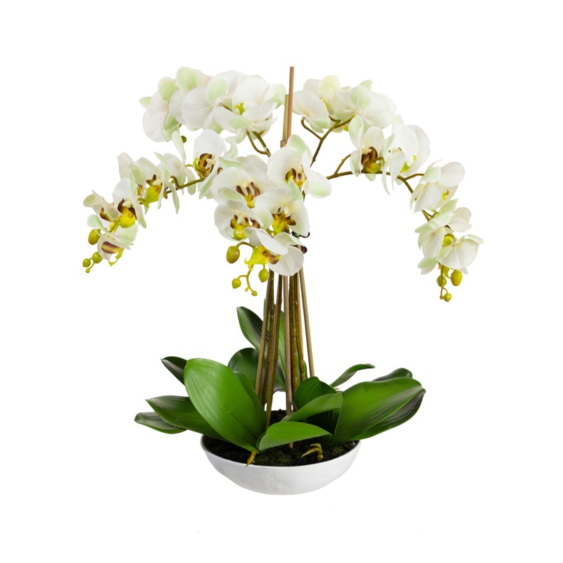 Phalaenopsis Orchid Artificial Plant Flower Decorative 60cm White Bowl - Apple Green