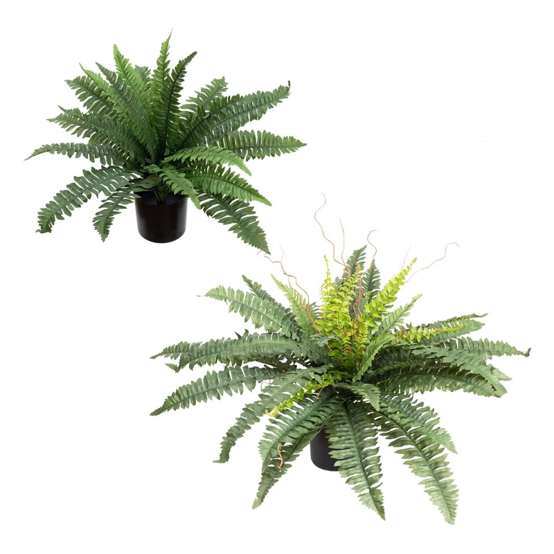 Set Of 2 Boston Fern Artificial Fake Plant Decorative In Pot - Green