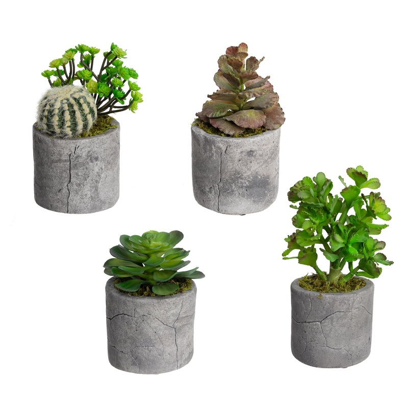 Set Of 4 Assorted Succulent Artificial Fake Plant Decorative In Pot - Green