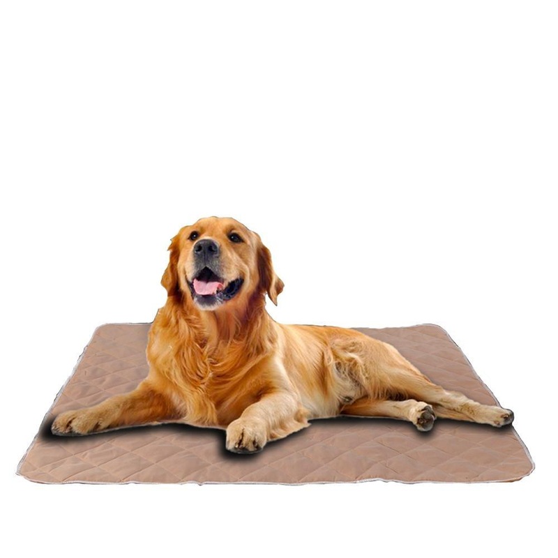 2 Pcs 120x120 cm Reusable Waterproof Pet Puppy Toilet Training Pads