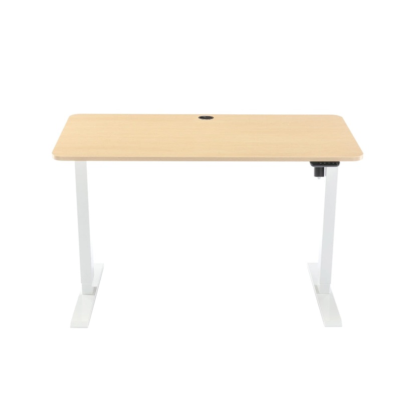 Fenge Height-Adjustable Electric Sit And Stand Office Study Comptuer Desk 120cm W/ USB Charging Port Natural