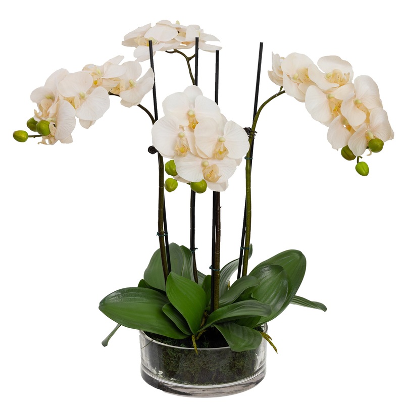 Apricot Orchid Artificial Fake Plant Decorative Arrangement 48cm In Glass Bowl