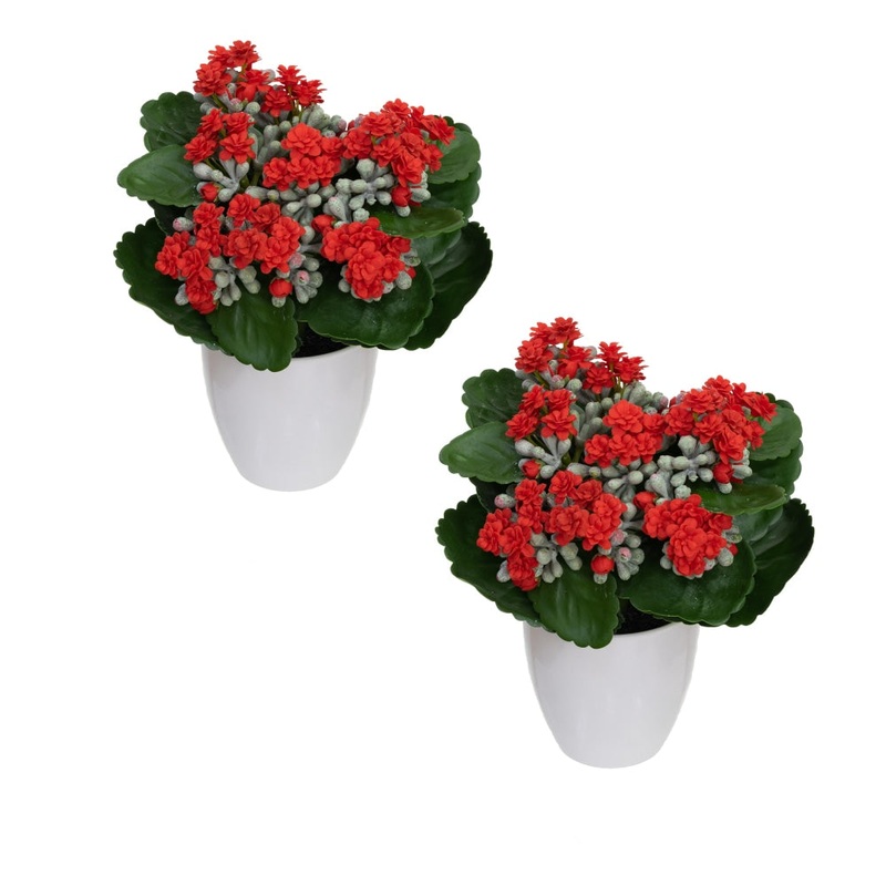 Set Of 2 Kalanchoe Artificial Fake Plant Decorative Arrangement In Pot 20cm Green & Red