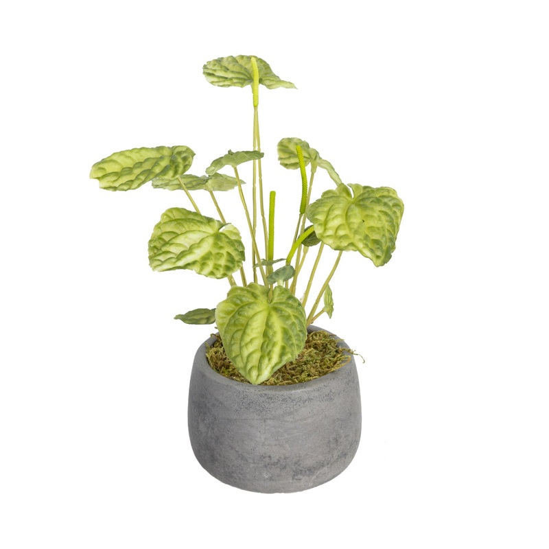 Green Begonia Bush Artificial Faux Plant Decorative 20cm In Pot