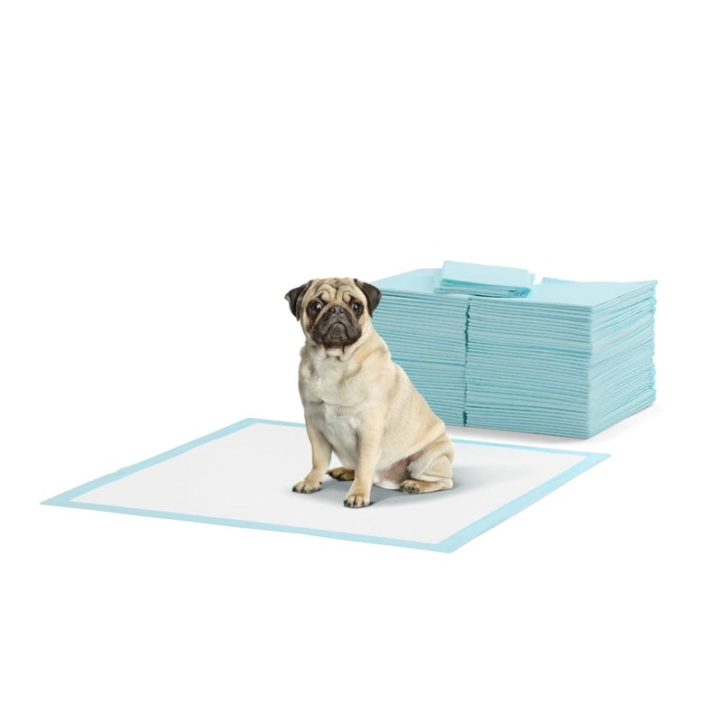 Pets 200 Pack Portably Potty Puppy Training Pads - Blue